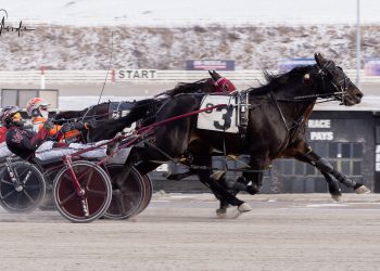 Bronx Seelster treks long for close Open win