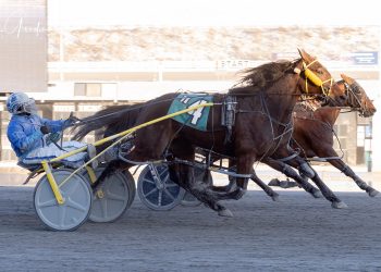 Day To Party surprises at 12-1