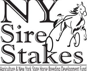 NYSS merging Excelsior series
