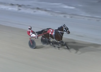 Big win highlights London card