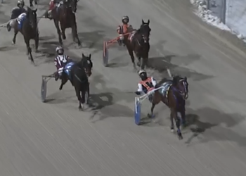 Left out in the cold, Run Like Hill gets it done