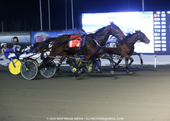 A Boy Named Suuzz doubles on route to half a million