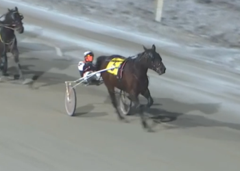 So Frisky ends seconditis streak with convincing win