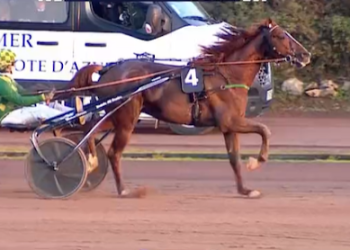 Jadrius de Guex scores Gr.III win at Cagnes sur Mer