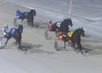 Five straight for Bucktober