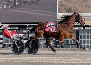 Slick Artist A slides on by at the Meadows