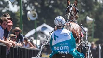 Thornley hoping to get teal campaign off to a perfect start