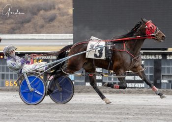 Jack Killeen brings home 15-1 upset winner