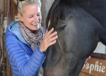 Retired Standardbred turns healing horse