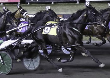 Madelines Blk Jack rockets home in Big M top pace