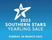 Winning dams adorn SA Yearling Sale catalogue