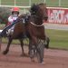 Condor Pasa Gar wins at Enghien