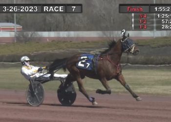 Harry Knows breaks, 66-1 longshot upsets