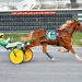 Perfect Twenty lands critical hit in $50,950 Trot Final
