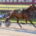 Muscle Mountain a possibility for Yonkers International Trot?