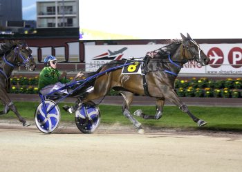 Mountainous stroll in G3 feature trot