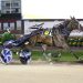 Harness racing stars on show tonight 2 Mountainous stroll in G3 feature trot
