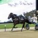 Merlin wins $135,000 Northern Derby