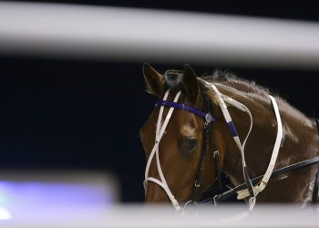 Cold Chisel hits the right notes in Cardigan Bay Stakes