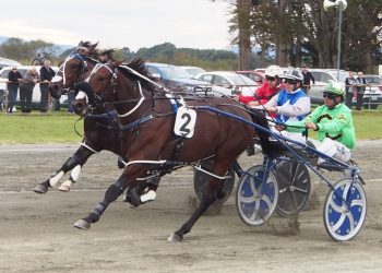 Wyndham to celebrate its Centennial