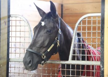 C Is For Cookie is all in the family