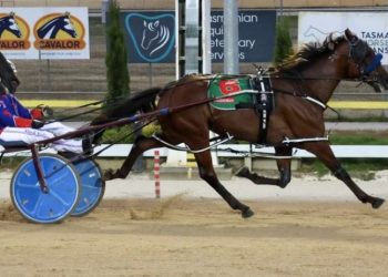 Check In first to qualify for Group 1 Tasmania Cup