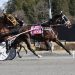 Big Box Hanover takes another at The Spa 2 Big Box Hanover takes another at The Spa
