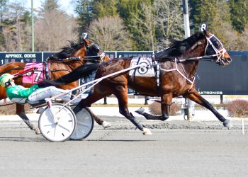 Last to first no problem for Big Box Hanover