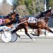 Last to first no problem for Big Box Hanover
