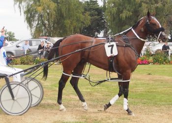 Wyndham Review x 4 + pics