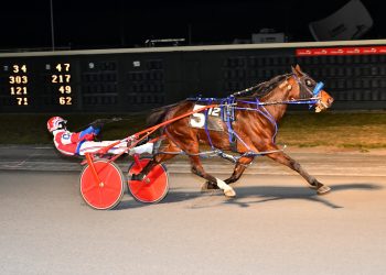 Feeling Sweet overpowers field in Open