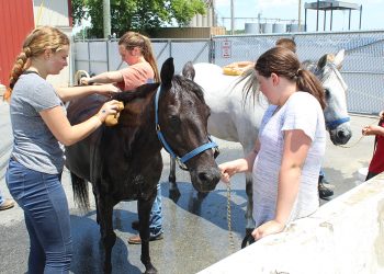 Schedule announced for HHYF Summer Programs