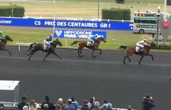 Hanna des Molles, Horsy Dream Gr, I Winners