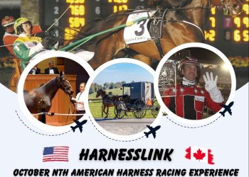 Harnesslink October Tour | North American Harness Racing Experience