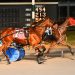Island Of The Sea ends favorites 5-race win streak