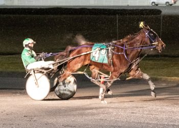 Boyd ready to try again with Lucky Artist A