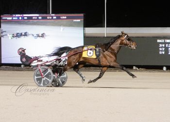 Co-feature Open Trot & Pace held at Northfield Park