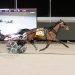 Co-feature Open Trot & Pace held at Northfield Park