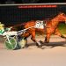Muscle Dynasty wins Open in final strides