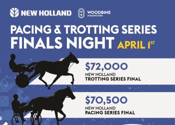 Mohawk returns to racing with big card