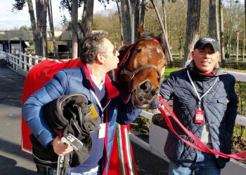 A mare flies to the sky too early