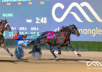 Spurr’s Draft led by Shoobees Place progeny