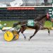 $50,950 Trot Final won in huge romp 1 $50,950 Trot Final won in huge romp