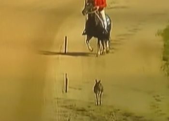 “Skippy” sets the pace at Bendigo