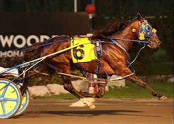 Stag Party wins a thriller at Rosecroft