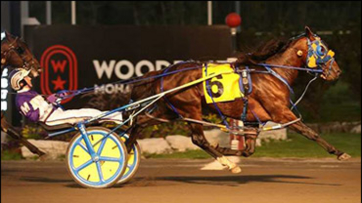 Stag Party wins a thriller at Rosecroft