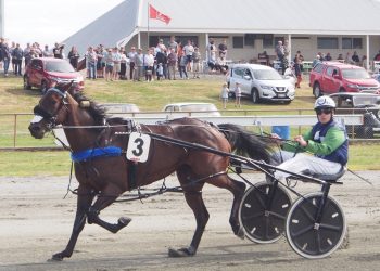 Wyndham Review x 4 + pics