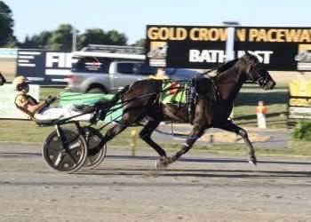 Unique double Group One opportunity