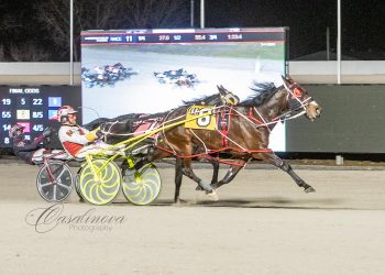 Waitforever N back to best versus top Northfield rivals