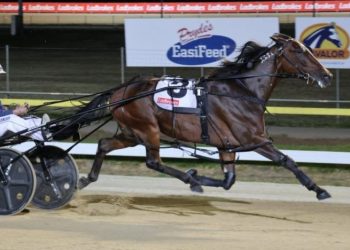 Ex Kiwi pacer wins the $150,000 Tasmania Cup